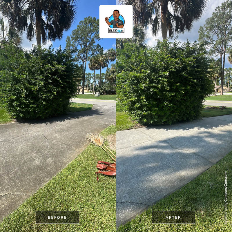 Contact, All Elite Cleaning & Pressure Washing Port Orange FL, Driveway power washing, Window Cleaning