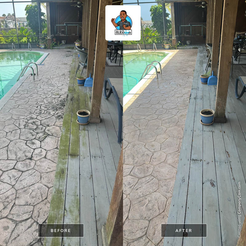 Trash Bin Cleaning, Window Cleaning