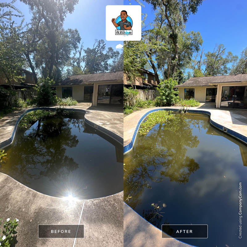 PATIO/LANAI CLEANING