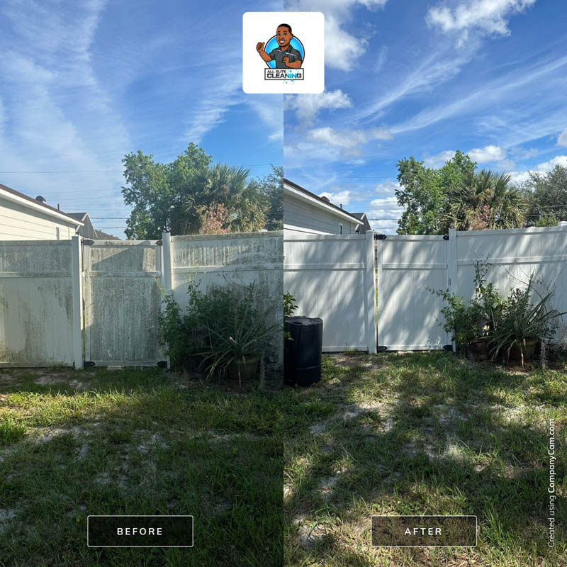 FENCE CLEANING Service