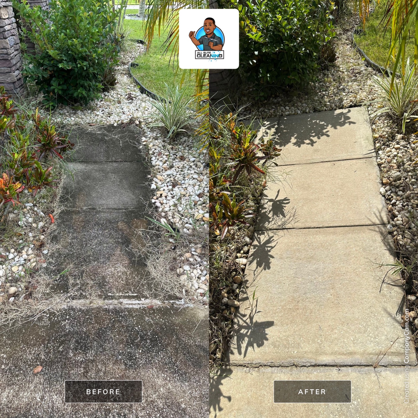 Driveway power washing, Window Cleaning