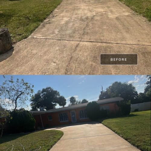 Driveway/Concrete Cleaning services